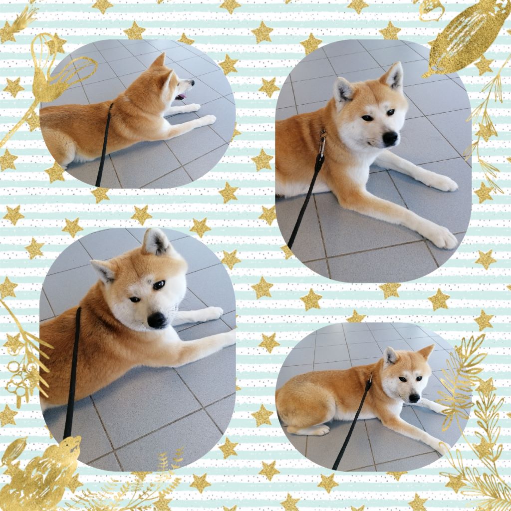 Natsuko of aishitemasu (Sans Affixe)